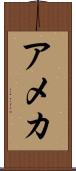 アメカ Scroll
