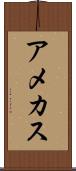 アメカス Scroll