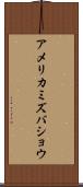 アメリカミズバショウ Scroll