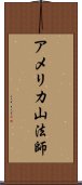 アメリカ山法師 Scroll