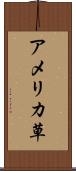 アメリカ草 Scroll
