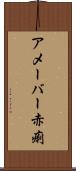 アメーバー赤痢 Scroll