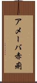 アメーバ赤痢 Scroll