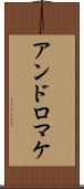 アンドロマケ Scroll