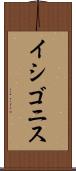 イシゴニス Scroll