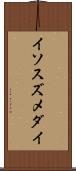 イソスズメダイ Scroll