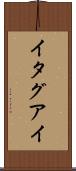 イタグアイ Scroll