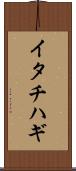 イタチハギ Scroll