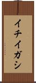 イチイガシ Scroll