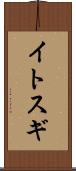 イトスギ Scroll