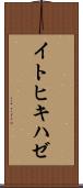 イトヒキハゼ Scroll