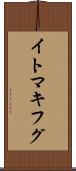 イトマキフグ Scroll