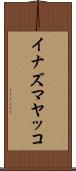 イナズマヤッコ Scroll