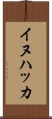 イヌハッカ Scroll