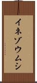 イネゾウムシ Scroll