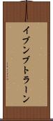 イブンブトラーン Scroll