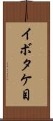 イボタケ目 Scroll