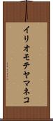 イリオモテヤマネコ Scroll