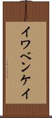 イワベンケイ Scroll