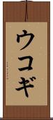 ウコギ Scroll