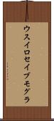ウスイロセイブモグラ Scroll