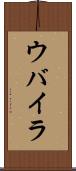 ウバイラ Scroll