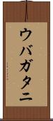 ウバガタニ Scroll