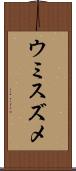 ウミスズメ Scroll