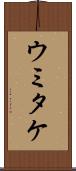 ウミタケ Scroll