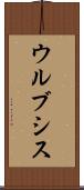 ウルブシス Scroll