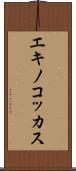 エキノコッカス Scroll