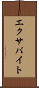 エクサバイト Scroll