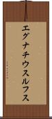 エグナチウスルフス Scroll