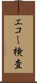 エコー検査 Scroll