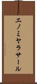 エノミヤラサール Scroll