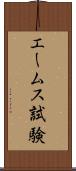 エームス試験 Scroll