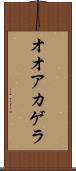 オオアカゲラ Scroll