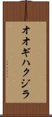 オオギハクジラ Scroll