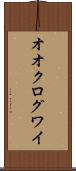 オオクログワイ Scroll