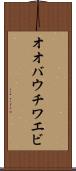 オオバウチワエビ Scroll
