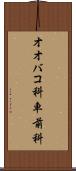 オオバコ科 Scroll