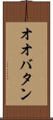 オオバタン Scroll