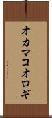 オカマコオロギ Scroll