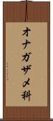 オナガザメ科 Scroll