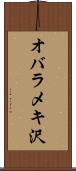 オバラメキ沢 Scroll