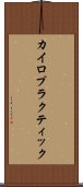 カイロプラクティック Scroll