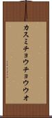 カスミチョウチョウウオ Scroll