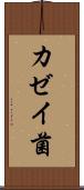 カゼイ菌 Scroll
