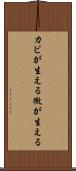 カビが生える Scroll