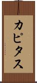 カピタス Scroll